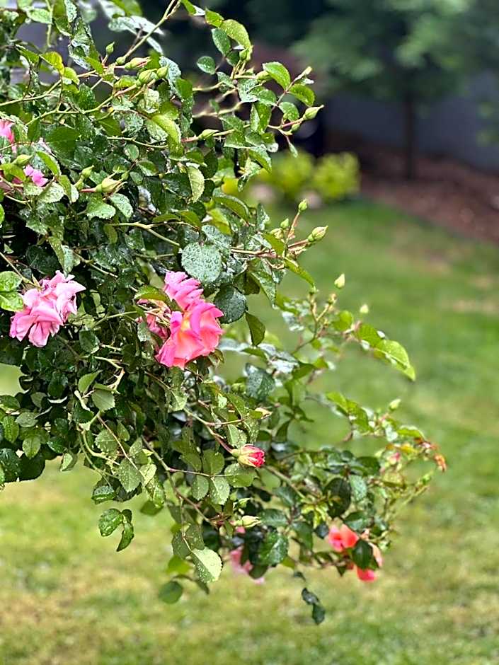 YOUR HOUSE Apart Otel