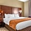 Comfort Suites Auburn near I-69
