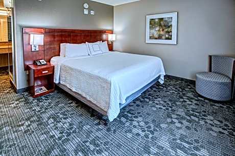 One-Bedroom King Suite with Sofa Bed
