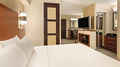 King Room with Sofa Bed and Roll-In Shower - Disability Access