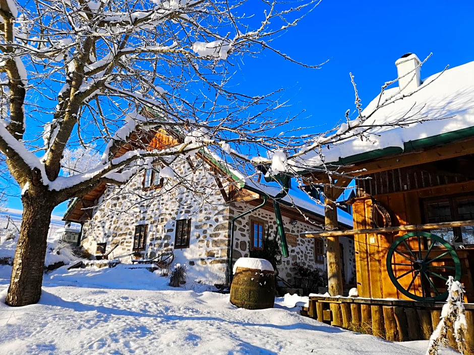 Ferienhaus FRIEDLHOF