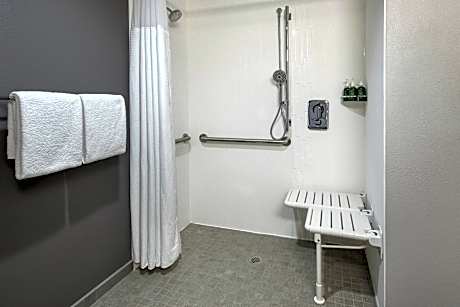 Room, 1 King Bed with Sofa bed (Mobility/Hearing Access, Roll-In Shwr)