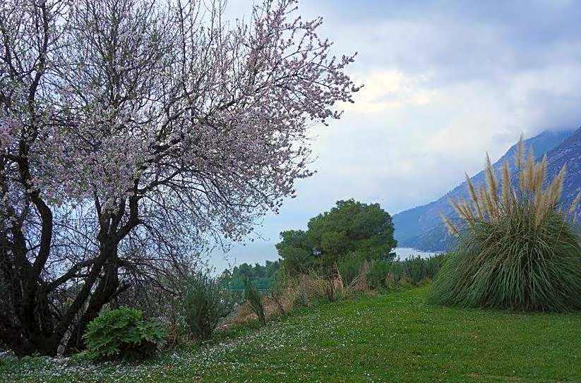 Pantheon Hotel & Suites