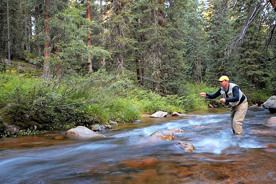 Holiday Inn Express & Suites Fraser By IHG