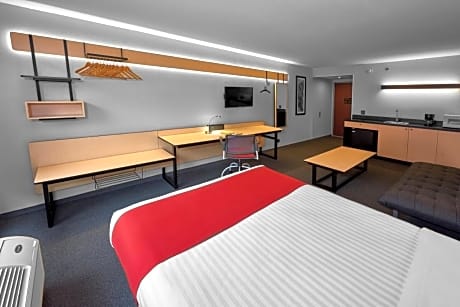 Superior, Guest Room, 1 King, Non-Private Sofa Bed