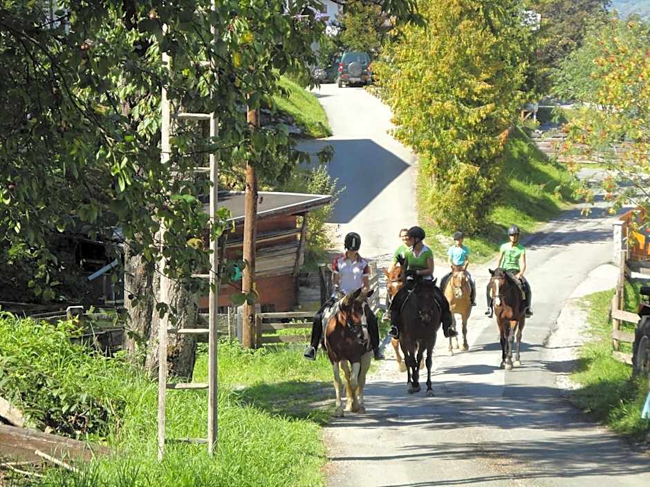 Alpen Apartments Zell am See