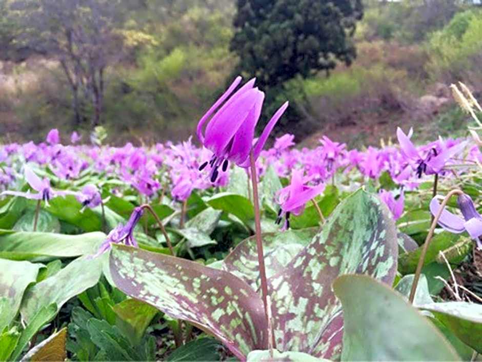 Pension Come Tatami-room with a calm atmosphere - Vacation STAY 14983