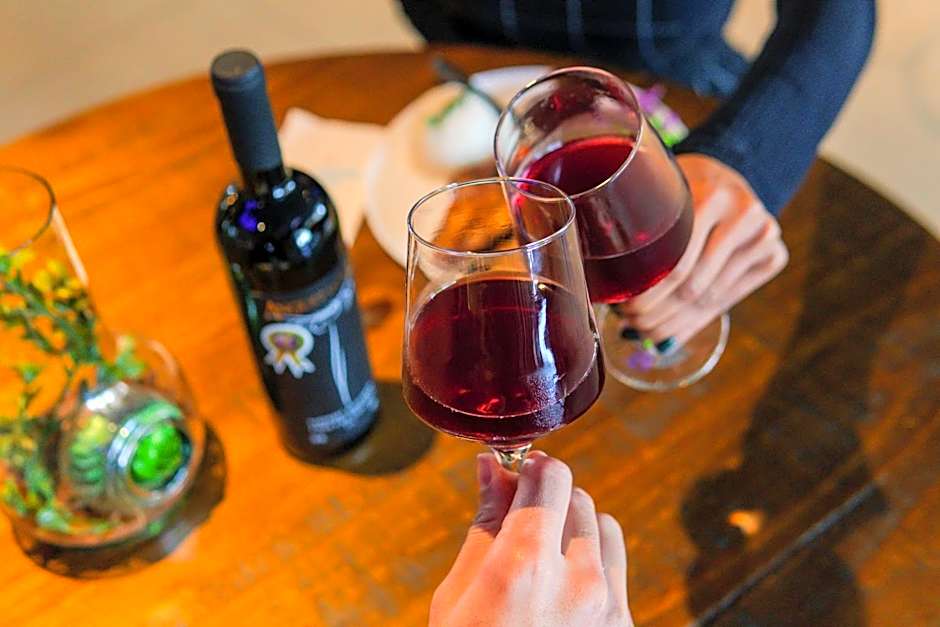 ibis Styles Curitiba Airport