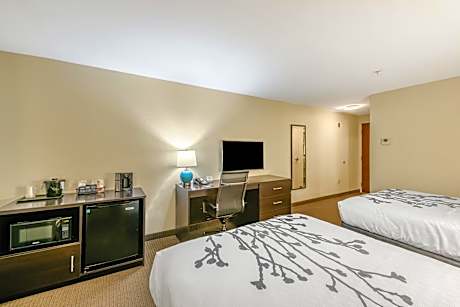 Queen Room with Two Queen Beds - Non-Smoking