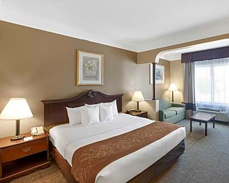 1 King Bed, Suite, Nonsmoking