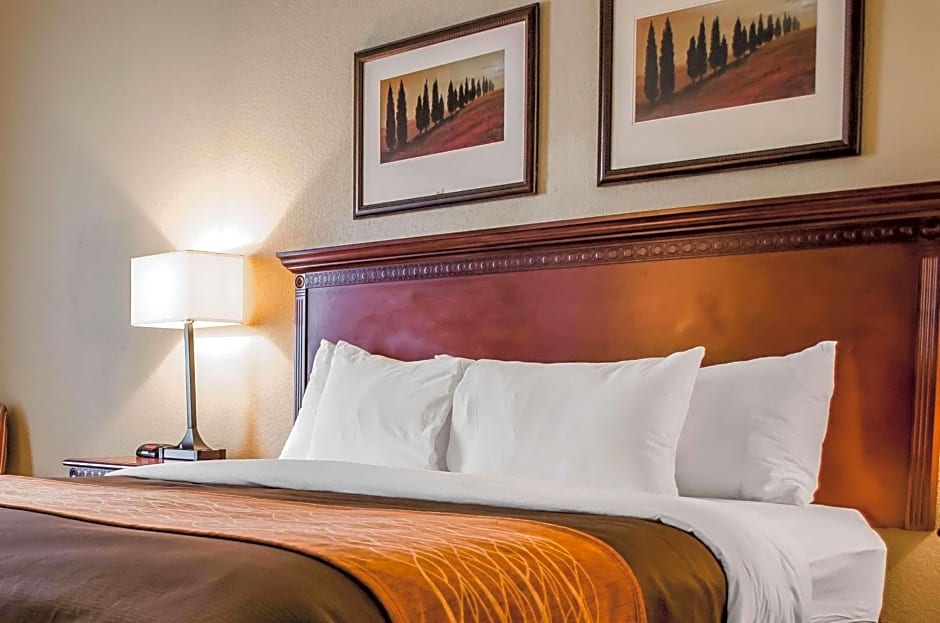 Comfort Inn & Suites Mobile near Eastern Shore Centre