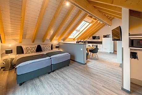 One-Bedroom Loft Apartment with Balcony