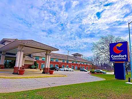 Comfort Inn & Suites Ambassador Bridge