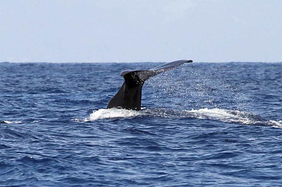 Brygga Restaurant and Rooms