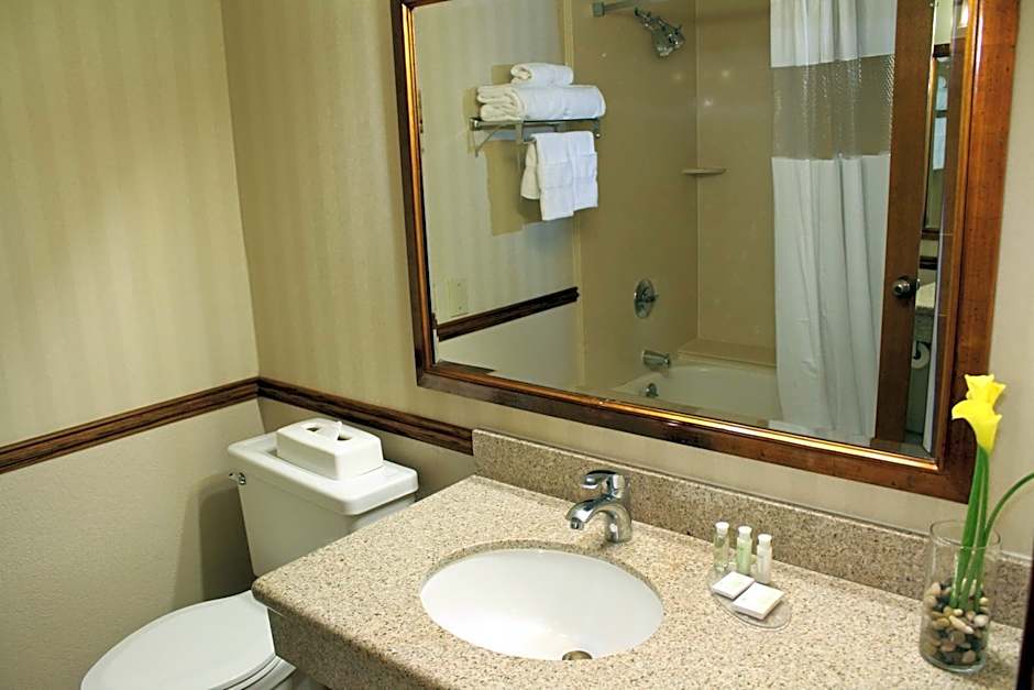 University Square Hotel