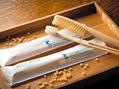 Smoking Double with PC desk: 18 square meters / Separate bath and toilet