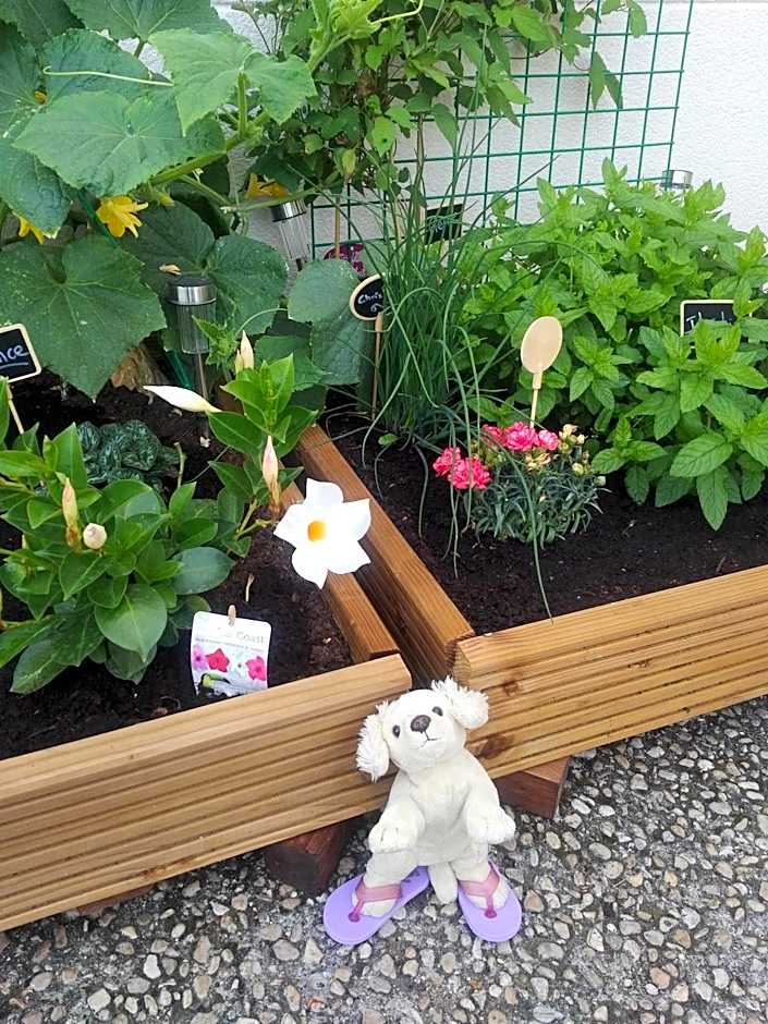 ibis Styles Compiegne