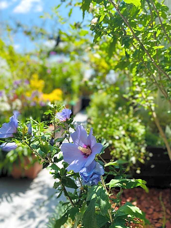 The People - Paris Bercy