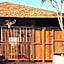 The Shorea