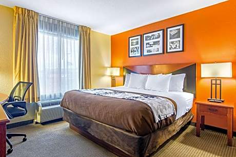 King Room - Non Smoking/Pet Friendly