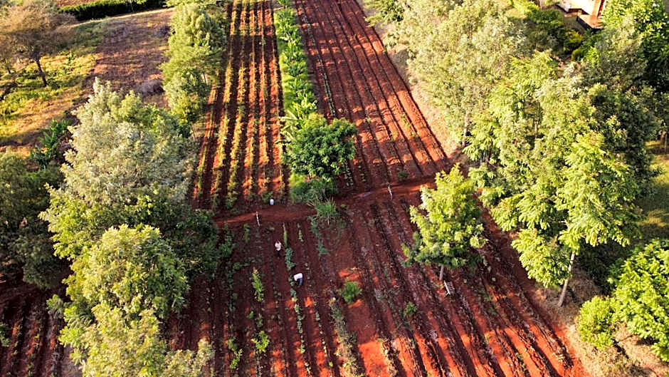 Tanzanice Farm Lodge