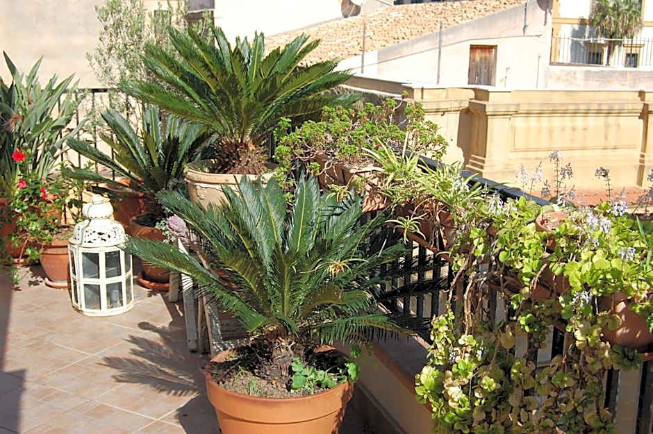 PortAtenea - Atenea Collection