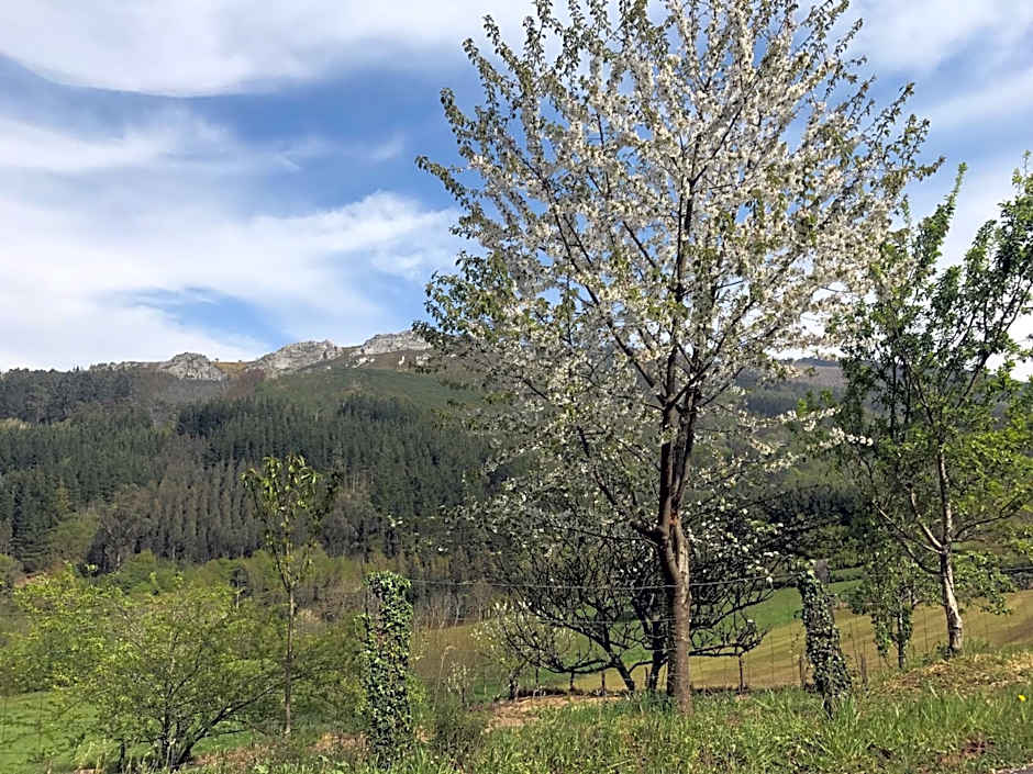 Hotel Mirador de Barcia