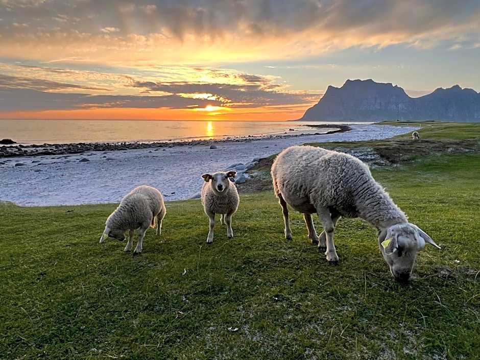 Fisherman's cabin, Lofoten - 11 Johnbua