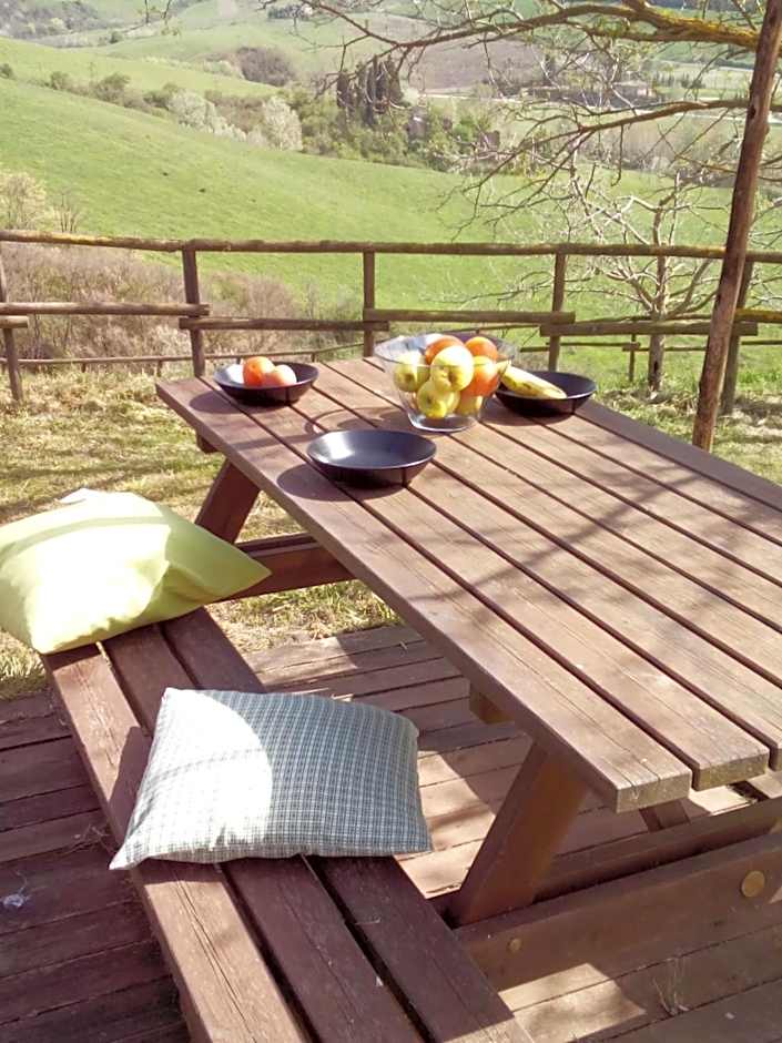 Antonella House -Podere della Collina