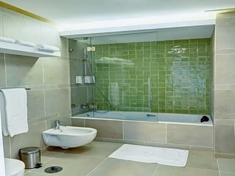 apartment superior one bedroom