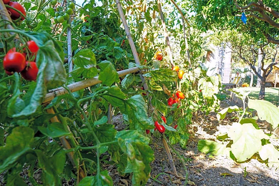 Villa Caterina - Solemar Sicilia