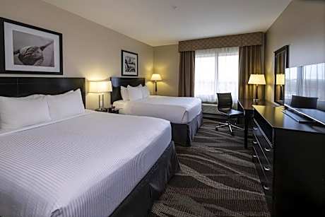 2 Queen Beds-premium Room-non Smoking