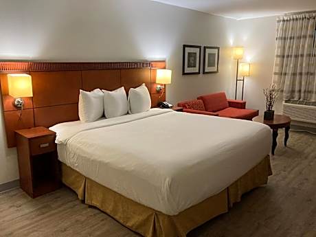 Superior Single Room