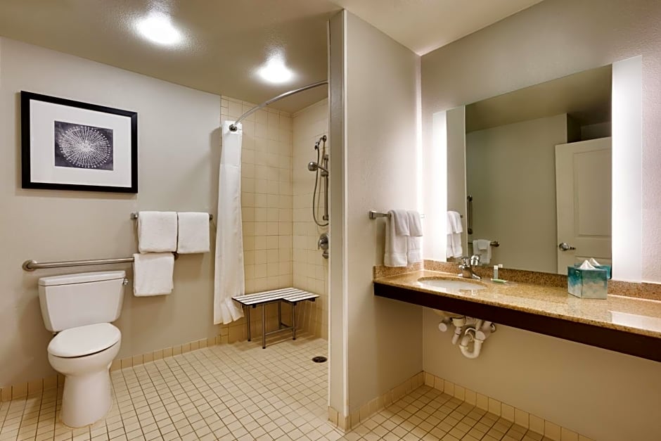 Residence Inn by Marriott Houston I-10 West/Park Row