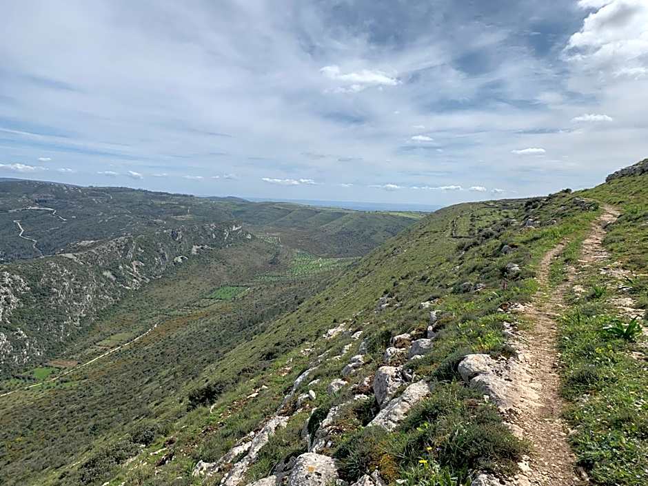 Hotel Dom Goncalo & Spa