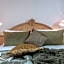 Hotel Post