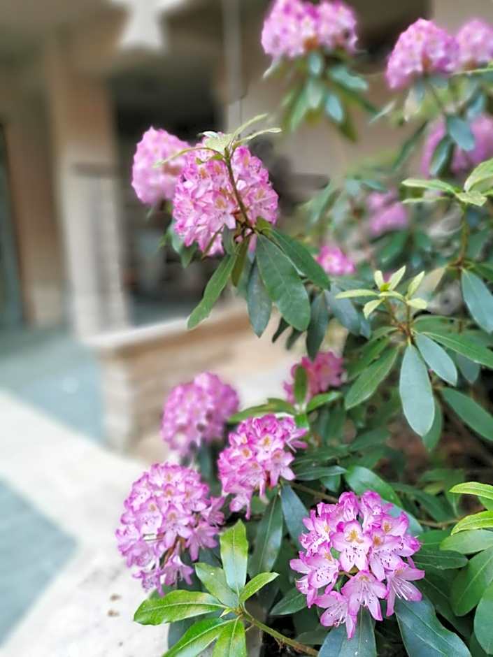 Hotel Villa Pax