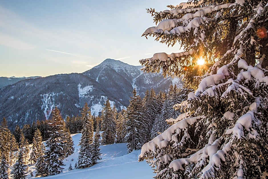 Natursinn Mountainchalets
