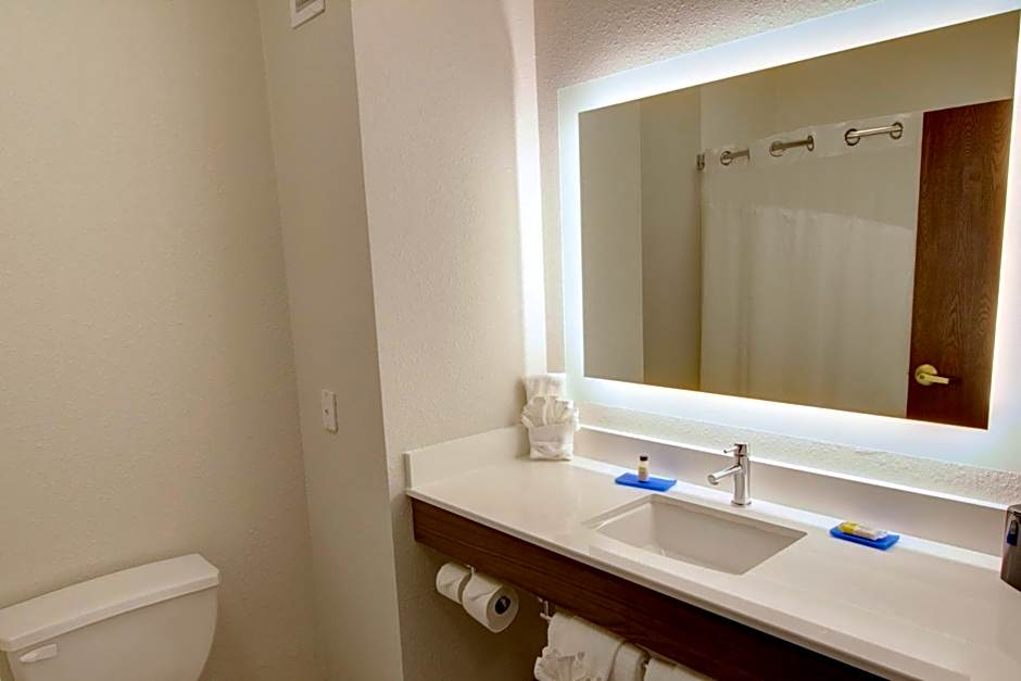 Holiday Inn Express Hotel & Suites Le Mars By IHG