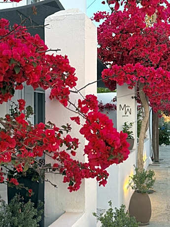 Mellow Paros