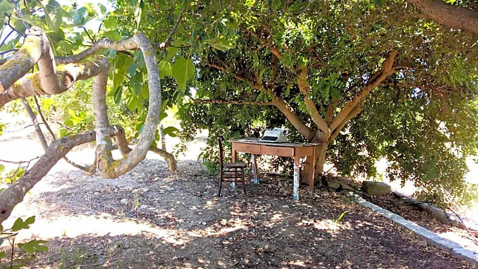 A CASA NOSCIA - BB SAN PIETRO IN BEVAGNA Charming house