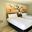 Days Inn by Wyndham Killeen Fort Hood