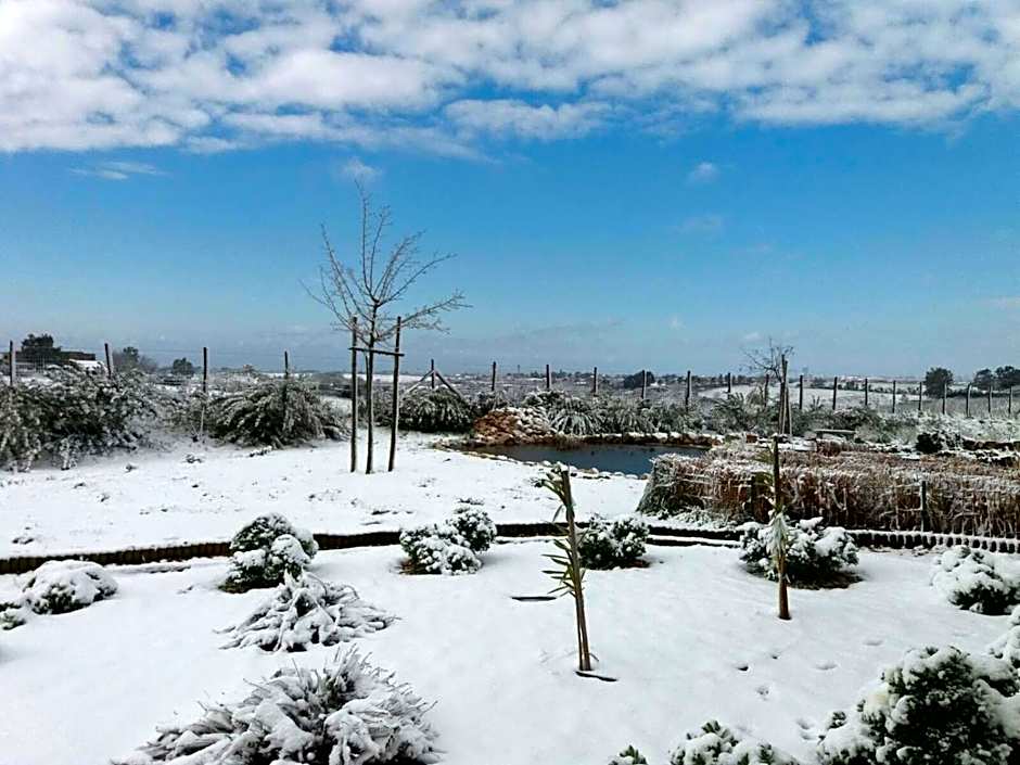 La collina delle fonti