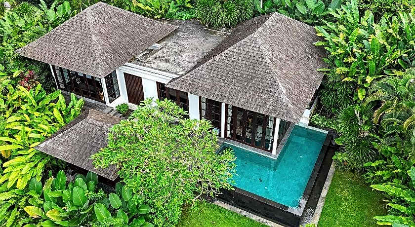 The Damai