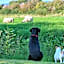 Burnt House Farm