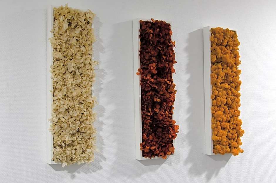 Résidence Ambroise Paré