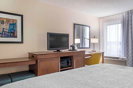 1 King Study W/Microwave-Fridge Nonsmoking