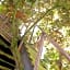 Enjoytoday vakantiewoning 45