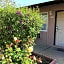Maple Inn and Suites Los Banos
