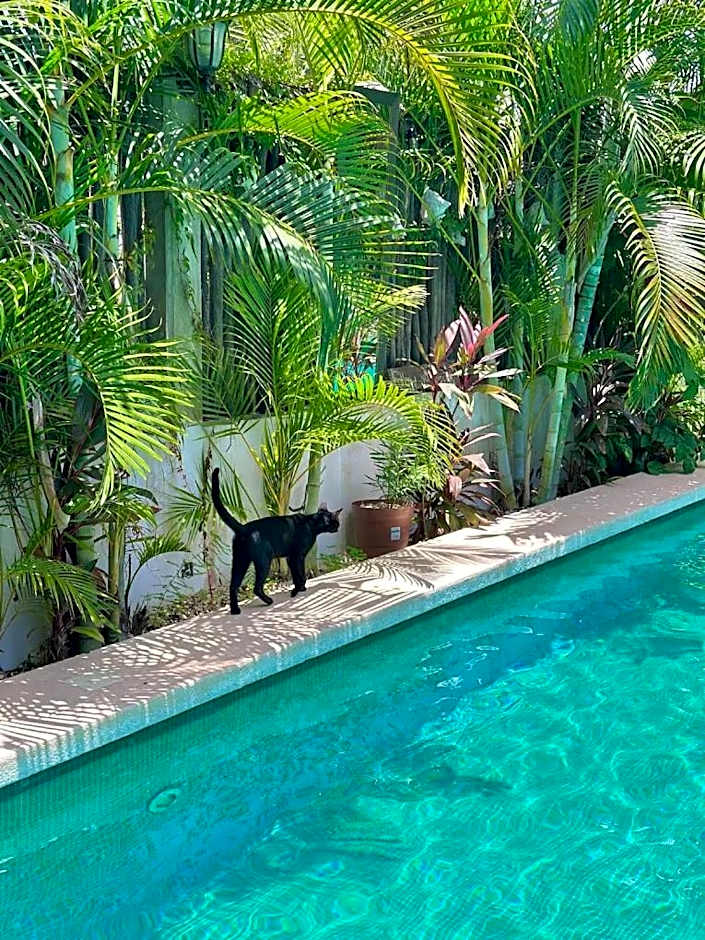 Hotel Jaiba Mahahual - Adults Only